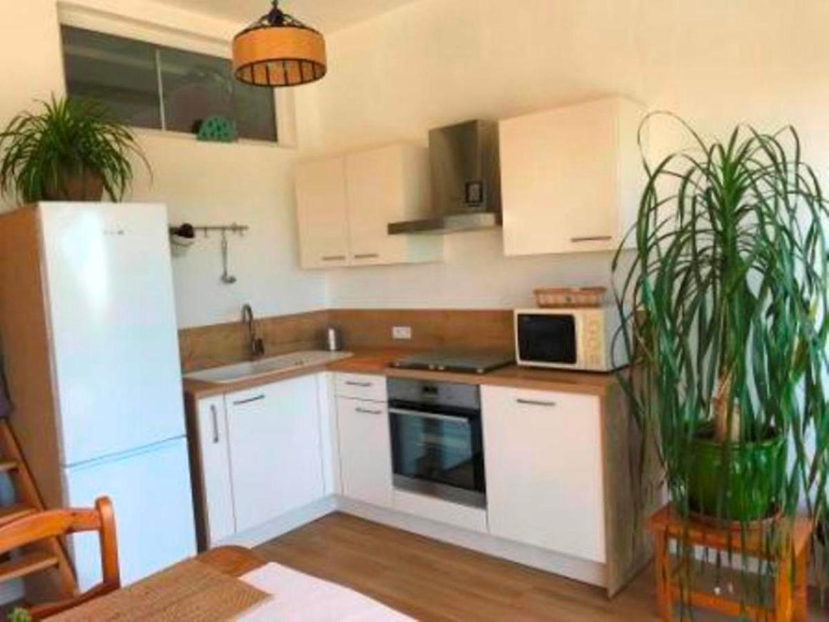 Villa Les Alizes Le Le Rayol-Canadel-sur-Mer Εξωτερικό φωτογραφία