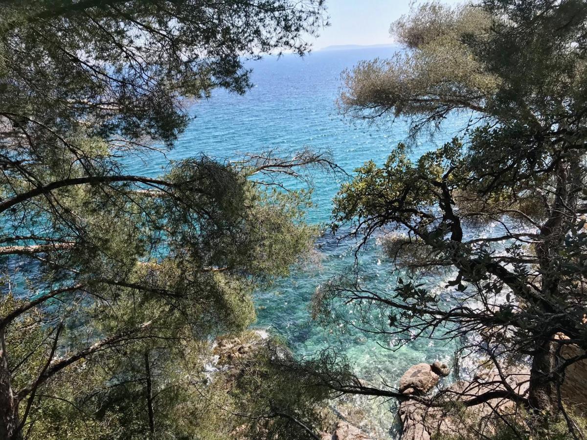 Villa Les Alizes Le Le Rayol-Canadel-sur-Mer Εξωτερικό φωτογραφία