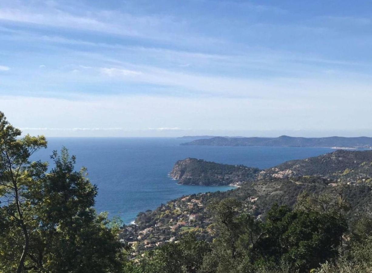 Villa Les Alizes Le Le Rayol-Canadel-sur-Mer Εξωτερικό φωτογραφία
