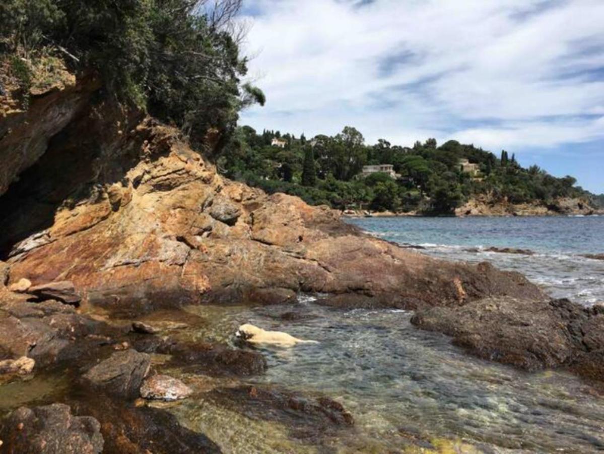 Villa Les Alizes Le Le Rayol-Canadel-sur-Mer Εξωτερικό φωτογραφία
