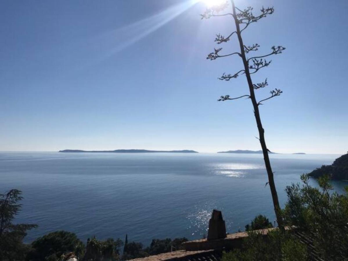 Villa Les Alizes Le Le Rayol-Canadel-sur-Mer Εξωτερικό φωτογραφία