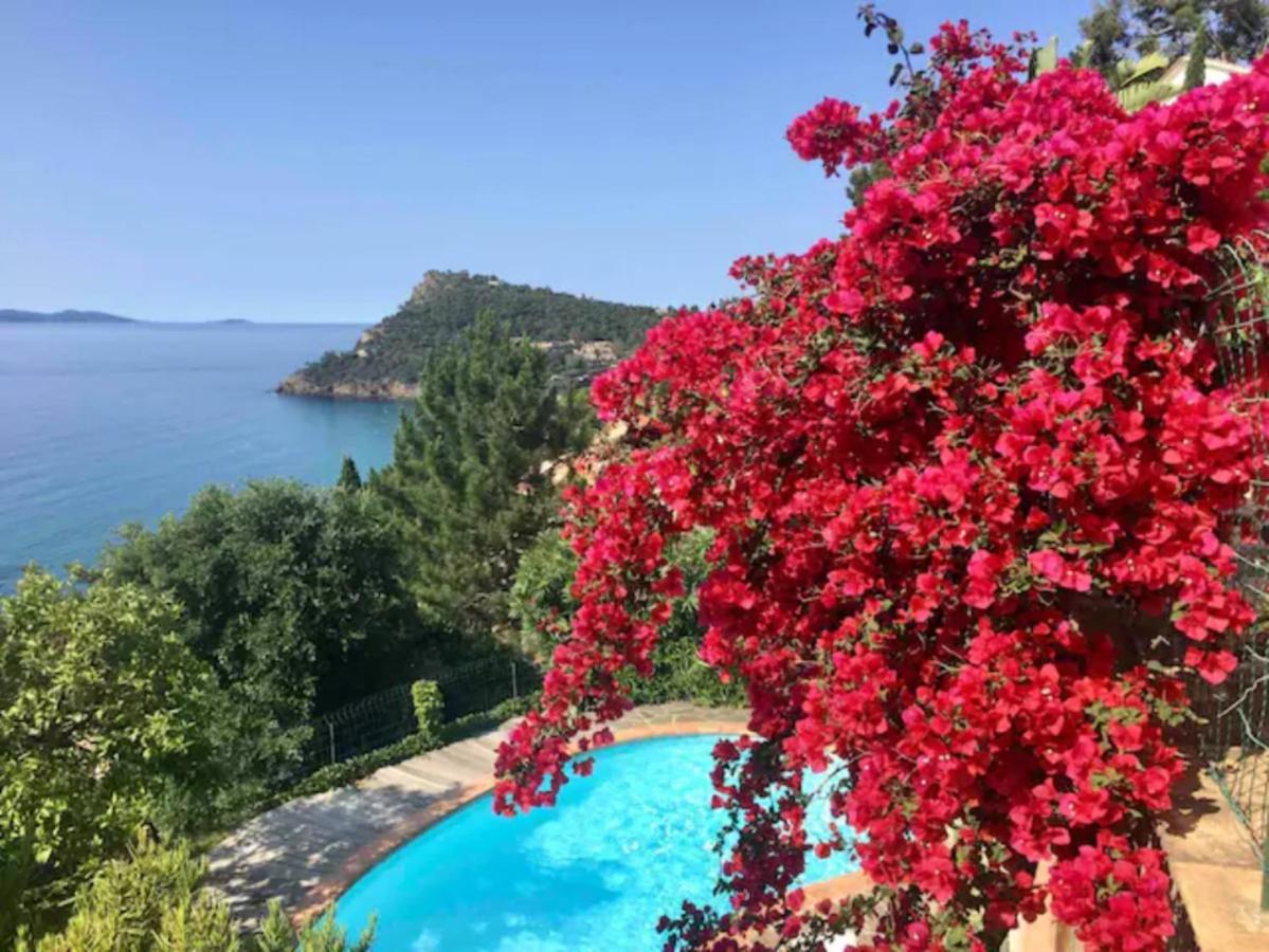 Villa Les Alizes Le Le Rayol-Canadel-sur-Mer Εξωτερικό φωτογραφία