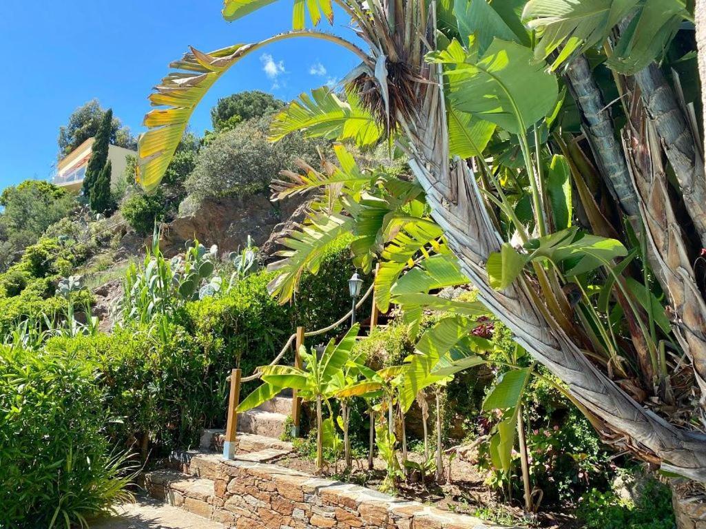 Villa Les Alizes Le Le Rayol-Canadel-sur-Mer Εξωτερικό φωτογραφία
