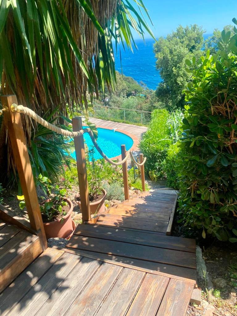 Villa Les Alizes Le Le Rayol-Canadel-sur-Mer Εξωτερικό φωτογραφία