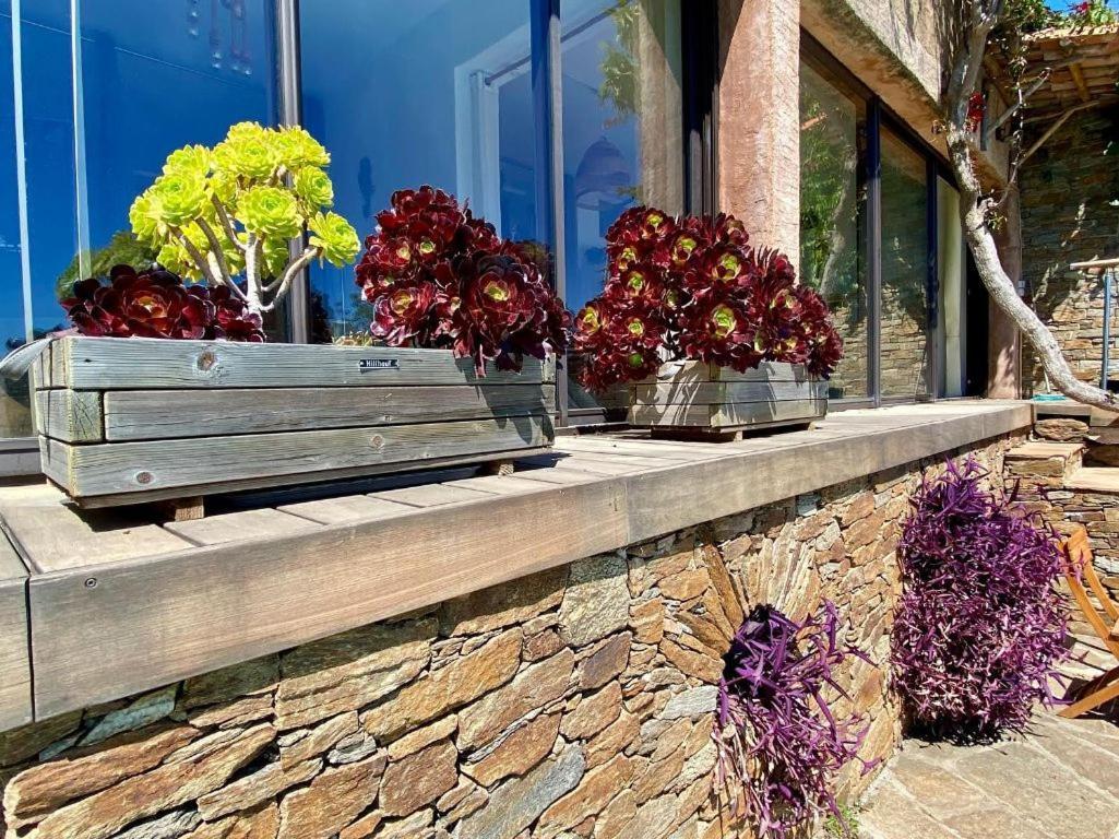 Villa Les Alizes Le Le Rayol-Canadel-sur-Mer Εξωτερικό φωτογραφία