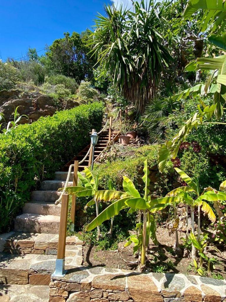Villa Les Alizes Le Le Rayol-Canadel-sur-Mer Εξωτερικό φωτογραφία